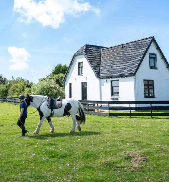 recreatie woning op texel met meisje dat paard uitlaat